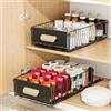 Diealles Shine Cassetto Estraibile Cucina, 24x40x10CM Cassetti Scorrevoli per Cucina, Senza Bisogno di Trapano Cassetto Telescopico per Armadi