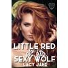 Lacy Jane Little Red and the Big, Bad, Sexy Wolf (Tascabile)