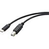 Renkforce RF-5720420 Cavo USB 2 m USB 2.0 USB C USB B Nero (RF-5720420)