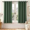 Deconovo Tende Oscuranti per Interni con Occhielli, 2 Pannelli 140x160 cm, Tende Termiche Isolanti per Camera da Letto e Soggiorno, Drappeggio Morbido ed Elegante, Verde Bosco