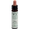 SANTIVERI SA AINSWORTHS WHITE CHESTNUT 10ML