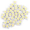 Zerodis 50 Pz LED Chip ad alta potenza, Super Bright SMD COB Emettitore di luce Componenti diodo 1W Illuminazione fai da te per Proiettore Spotlight ad alta potenza (Bianco Caldo)