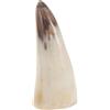 CIYODO Boccale Da Birra in Corno Di Bue Naturale 10-13cm, Tazza Medievale Lucidata a Mano Per Bevande Rustiche, Arredamento Vintage e Decorazione Vichinga Per Casa e Feste