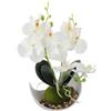 Homefurnishmall Elegante orchidea farfalla artificiale in vaso, altezza 27 cm, fiori finti in plastica per decorazione domestica di nozze, rosa rosso/viola/verde/bianco (bianco)