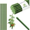 Crisalide® Tutori per Piante 180 cm Ø16 mm in Acciaio Plastificato Antiruggine, Bastoni per Pomodori Orto e Giardino, Supporto Piante Resistenti, Disponibili 5 10 25 Pezzi (25)