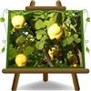 EURO PLANTS VIVAI Cotogni Melocotogno Champion Pianta da Frutto 2 anni