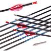 ACCMOS 12pcs 30＂Targeting Frecce ID 4,2 mm Spine 600 Freccia in Puro Carbonio, per Caccia al Tiro con L'Arco e Pratica di Tiro (Spine 600, 30 inch)