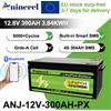 Aninerel EU STOCK Batteria LiFePO4 12.8V 304Ah 3.84Kwh 6000+ Cicli Bluetooth 12V 300Ah Batteria al litio per carrello da golf solare per camper domestico