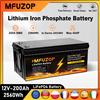 MFUZOP Batteria LiFePO4 MFUZOP 12V 200Ah Portatile Ricaricabile con Sistema BMS Intelligente Integrato, Ciclo Profondo 8000+ per Camper e Solare, Senza IVA