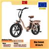 NONE Bicicletta Elettrica Pieghevole KOOLUX X16 con Motore da 500W, Batteria al Litio 48V15.6Ah, Pneumatici da 20*3 Pollici, per Città Bicicletta Elettrica per Pendolari