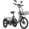 cysum Triciclo Elettrico per Adulti CYSUM AG1 PRO, Batteria 48V20AH, Capacità di Carico 50 kg, Design Pieghevole