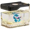 NONE Acquario Trasparente Mini, Vasca per Pesci Infrangibile in Plastica, Acquario da Tavolo Quadrato Traspirante, Terrario per Tartarughe da Soggiorno