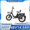 NONE Triciclo Elettrico KOOLUX X13 con Motore da 500W, Batteria 48V14.5AH, E-bike Urbana con Pneumatici Fat da 20 Pollici, Freno a Disco Idraulico, Bici Elettrica Pieghevole per Trasporto Urbano