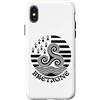 Brittany Celtic Culture Custodia per iPhone X/XS Bandiera celtica della Bretagna Triskele Bretone