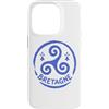 Brittany Celtic Culture Custodia per iPhone 14 Pro Bretagne Triskelion Bretone simbolo celtico Francia