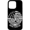 Brittany Celtic Culture Custodia per iPhone 15 Pro Max Simboli della Bretagna, Francia Breton Pride Triskel