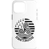 Brittany Celtic Culture Custodia per iPhone 16 Pro Max Bandiera celtica della Bretagna Triskele Bretone