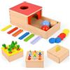 Comius Sharp 4 in 1 Giocattoli Montessori in Legno - Scatola delle Monete, Raccolta delle Carote, Bastoncini per L'abbinamento dei Colori e Motricità