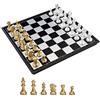 KOKOSUN Set di chess magnetico con bordo pieghevole in oro e argento - 9,8 x 9,8 - Storage Convenient, Educational Toys/Gift for Kids and Adults (S)