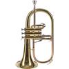 Amadeus Flicorno Soprano Sib Amadeus FLH450 Ottone Laccato con Custodia