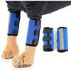 Zunea Tutore Cane Zampa Anteriore Riflessivo morbido Gambe Wrap Compressione Manicotto Wound Protector Supporto polso per stabilità, lesioni e distorsione Healing Blu L