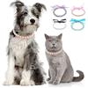 Zunea Collane di perle per cani e gatti di piccola taglia collare Bling cristallo strass cucciolo ragazza collana con fiocco nastro regolabile femmina gattino chihuahua gioielli per matrimonio festa
