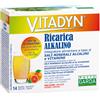 Vitadyn Ricarica Alkalin 14 Bustine
