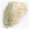 Pmnzdy Piume di struzzo, 10 unità, 20-25 cm, piume naturali colorate per lavori manuali, decorazione per casa, matrimonio, festa, tavolo, sala da pranzo, carnevale, presepe, decorazione, beige