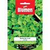 Blumen LATTUGA BARBA DEI FRATI BLUMEN SEMENTI ORTO