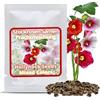 Magic of Nature: Mix di Alcea Rosea: 50 Semi Colorati Malvarosa