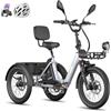Fafrees Triciclo Elettrico F20 MATE II, Bici da 250 W con 3 Ruote da 20*2,5, Batteria da 25Ah 1200Wh, Cestino + Portapacchi, Triciclo Elettrico da Carico per Adulti e Anziani (Grigio)