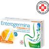 Naturalfito Enterogermina 4 Miliardi 20 flaconcini 5ml