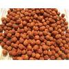 111 pz perline di semi di Rudraksha sfuse origine Nepal, naturali 5 Mukhi 8 m...