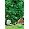 Germisem Coriandrum Sativum Semi di Coriandolo 10 g