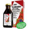 SALUS HAUS Gmbh & Co KG Salus Floradix Linfa D'Erbe Ricca Di Ferro Integratore Alimentare 250ml
