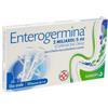 ENTEROGERMINA*OS 10FL 2MLD/5ML - ENTEROGERMINA - 042209027