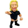 Juurokuhoui (16 indicazioni) 16d Soft Vinyl Collection Legend Masters 012 Yoshihiro Takayama SofVi...