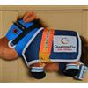 SK Japan Costume cavallo pop limone peluche collezione purosangue SK Japan NUOVO