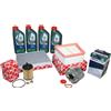 Febi Bilstein Kit Ispezione Ford 1,4 + 1,5 + 1,6 Diesel Inkl Castrol 5W30 4 Litri 55111222