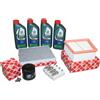 Febi Bilstein Kit Ispezione 16V Ford Fiesta B-Max Incluso 4 Litri 5W30 Castrol Öl 55555215
