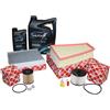 Kit Ispezione 2,0 Diesel Ford S-Max - Galaxy Inkl 6 Litri 5W30 Wolf Öl