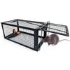SARSTRY Trappola per Topi Vivi, Grande XXL Gabbie Trappola per Interno e Esterno - Senza Uccidere e Riutilizzabile - Pronta all'Uso - per Ratti e Piccoli Roditori - 31 x 17 x 13.5 cm