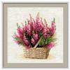 RIOLIS 1324 Erica Scozzese Kit Punto Croce Contato 25 x 25 cm