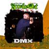 DMX The Smoke Out Festival Presents (Ear+eye Series) (CD) Album with DVD