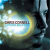 Chris Cornell Euphoria Mourning (Vinyl LP) 12" Album