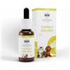 Australian Bush Flower Essences Training and Education