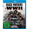 The Asylum / Lighthouse Home Entertainme Black Panthers of Wwii - Amerikas Wahre Helden (Blu-ray) English Jr Andrew C.