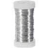 Rayher 2400121 Filo Metallico per Fiori, Diametro 0.35 mm, Bobina Da 100 m, Filo in Ferro, Privo di Nichel, per Composizioni Floreali e Lavori Creativi, Platino
