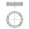 MAHLE 010 05 01: Pistoni per FIAT PUNTO (188), DOBLO furgone/station wagon (263), TIPO station wagon (356), BRAVO II (198), TIPO berlina (356)