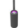 DENVER Altoparlante Bluetooth DENVER BTV-213 GR, grigio